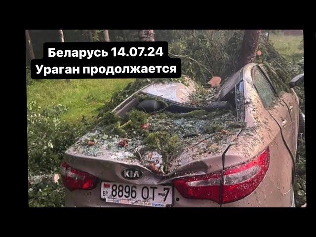 Беларусь 14.07.24 ураган продолжается. Гомель Речица Лунинец Жлобин и тд