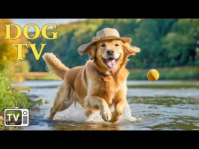 The Ultimate Dog TV: 12 Hours of Soothe Dog's Anxiety and Boredom Relief with Movie & Music for Dogs