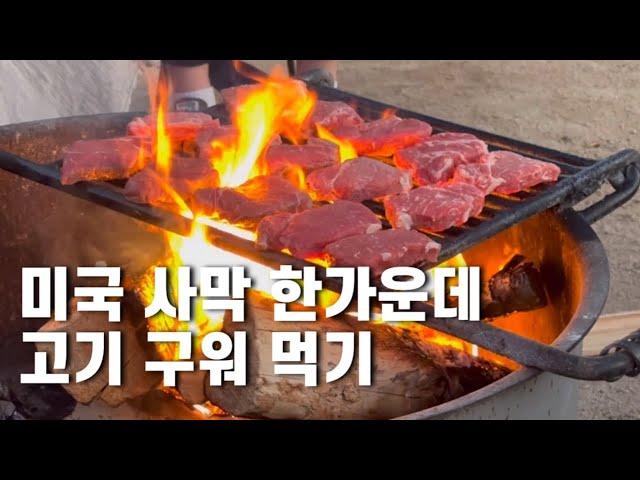 데저트힐아울렛과 조슈아트리투어 【미국2】