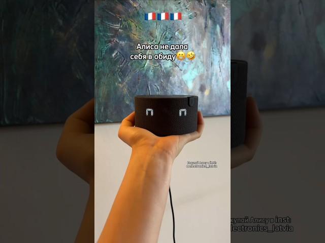 Алиса работает во Франции! Instagram: electronics_latvia #франция #париж #колонка