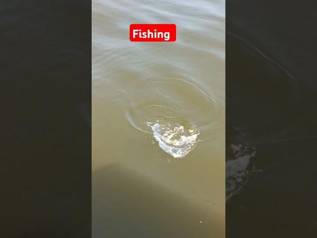#fishing #coxbazar #nature #foryou