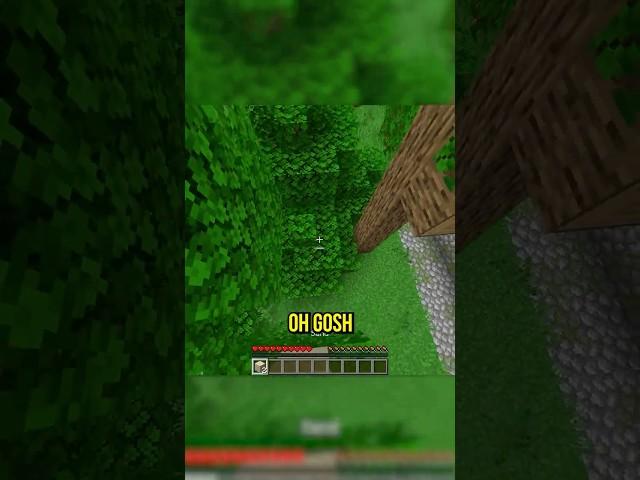 Minecraft but You Can’t Touch Green…