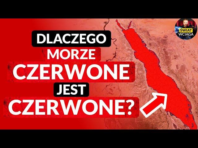 Dlaczego MORZE CZERWONE jest CZERWONE? 