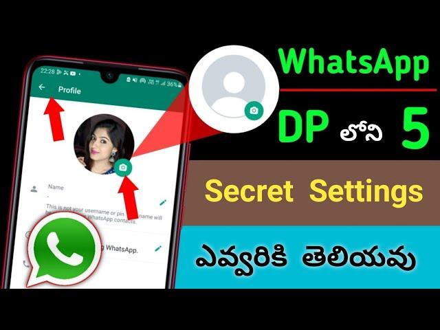 2023 WhatsApp Dp లో 5 Hidden Settings ఎవ్వరు చెప్పరు | Whatsapp DP New Update | Telugu tech pro