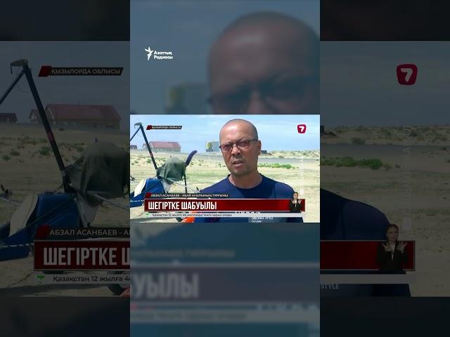 Қазақстанның бірнеше облысында шаруалар егістікте шегіртке қаптап кетті деп дабыл қағып жатыр.