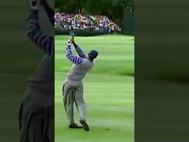 PUREST swing from Tiger Woods! 