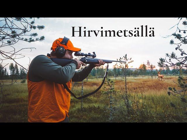 Hirvimetällä🫎 | Vlog