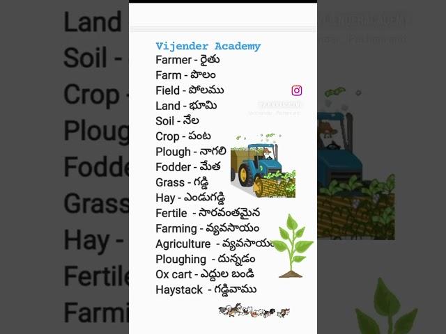 telugu to english meanings | spoken english