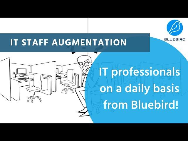 Discover More About Our IT Staff Augmentation Service | Bluebird