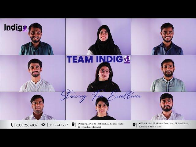 We are Indigo - Meet the Team | Indigo Consultants