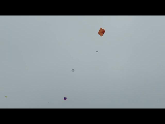 Count the kites...u can't ...vlog 22