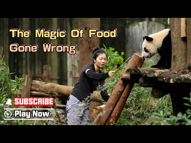 Not Enough Food To Bring The Panda Home | iPanda