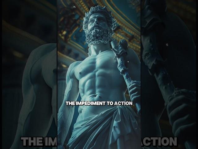 10 Stoic Quotes that Will Change Your Life Forever #bestoic