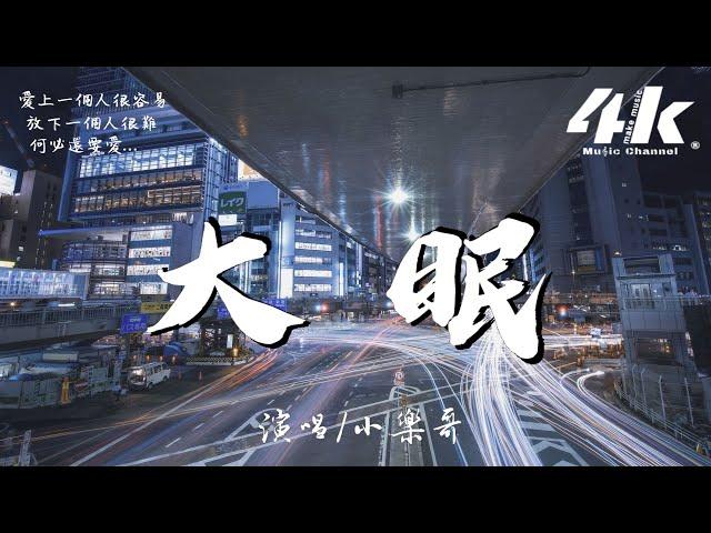 小樂哥 - 大眠(原唱:王心凌)【高音質|動態歌詞Lyrics】《都快忘了怎樣戀一個愛》xiao le ge  - da mian cover: Cyndi Wang 翻唱歌曲