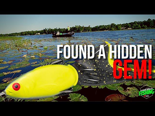 Found a New Hidden Gem in Arkansas for Frog Fishing! (Bass Fishing) (Ep. 127)