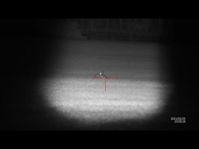 Sightmark Wraith 4K night time footage