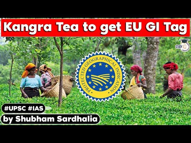 Kangra Tea will get GI Tag from European Commission | Himachal Pradesh PSC | UPSC GS Current affairs