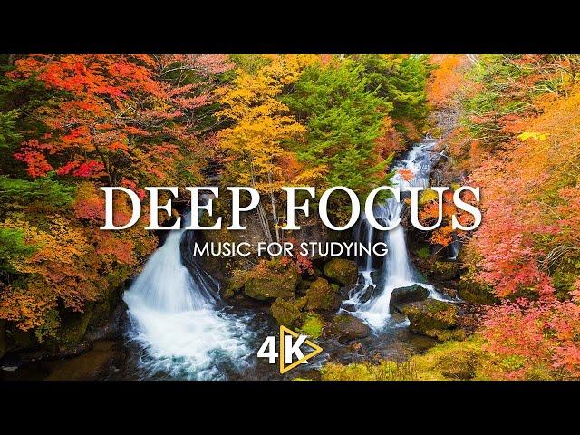 Work Music for Concentration - 12 Hours of Ambient Study Music to Concentrate #29