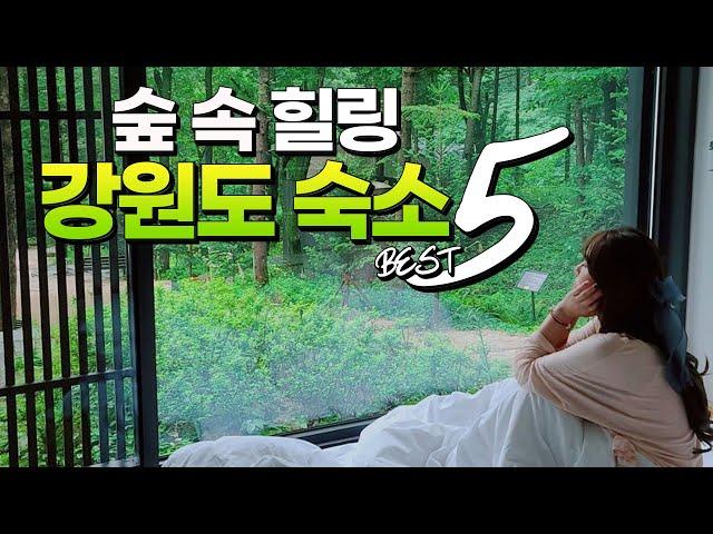 [ENG SUB] 숲 속에서 힐링 제대로 되는 강원도 숙소 BEST 5 (Gangwon-do hotels and resorts in the forest)