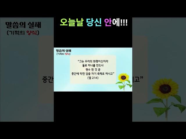 성령님은 오늘날 당신 안에 거하고 계십니다 #말씀의실재 #오늘의큐티 #생명의말씀 #새로운피조물 #말씀양식 #감사 #기도 #하나님 #예수님 #jesus #돈 제작