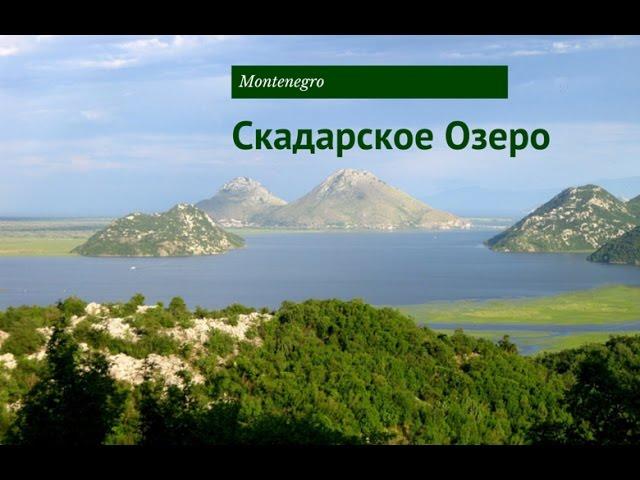 Черногория Скадарское озеро и окрестности