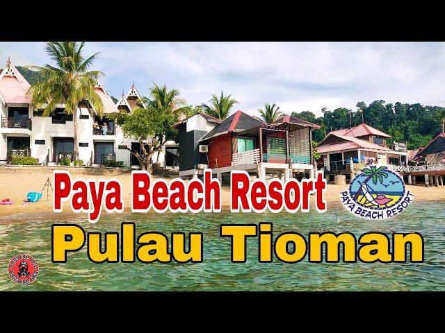 PAYA BEACH RESORT | Pulau Tioman 2022 | 3h2m Memang Tak Puas!! #vlog53 #crankcrewteam #pulautioman