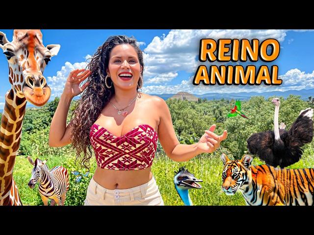 El mejor parque para convivir con especies animales | Reino Animal Estado México