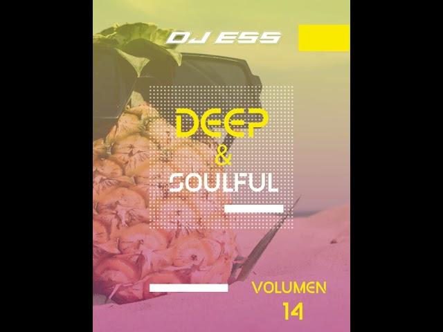 DJ ESS @ DEEP & SOULFUL VOL.14