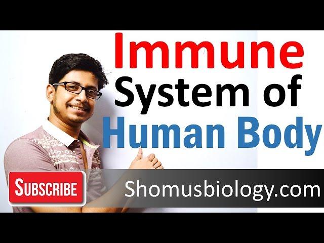 Innate and adaptive immunity | immune system of human body lecture