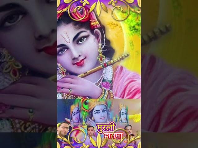 New Nepali Bhajan Murali Haatma Radha Liyi Saathma #nepalibhajan #krishnabhajan #nirmalgyanbhakti