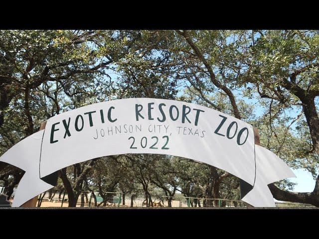 Exotic Resort Zoo in Johnson City, TX