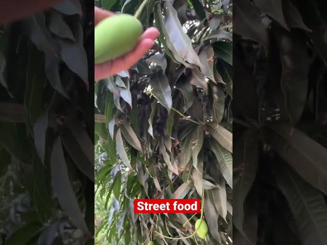 Mango tree picking #shorts #fruitpicking #greenmango #filipinofood #delicacy #pinoyfood #vlog #fy