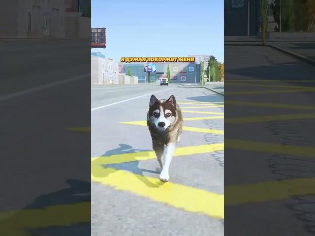 БЕЗДОМНУЮ СОБАКУ ОТРАВИЛИ В ГТА 5 (GTA 5 RMRP / Криминальная Москва)