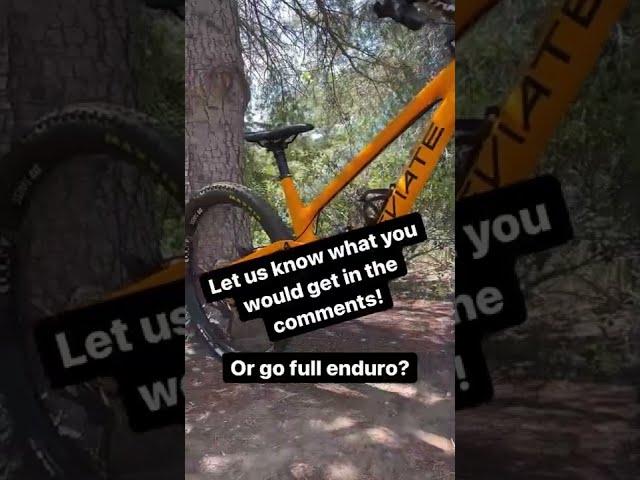 POV: What Kind Of MTB Should I Get?