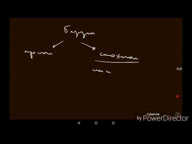 Физиология ВНД | Высшая нервная деятельность