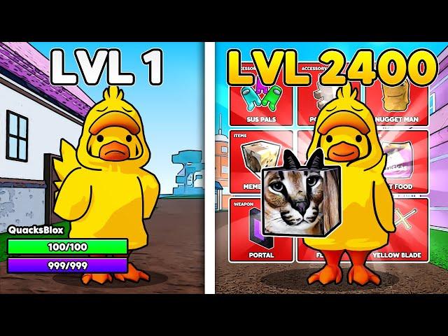 I Went from Lvl 1 NOOB to MAX in Meme Sea! (Roblox)