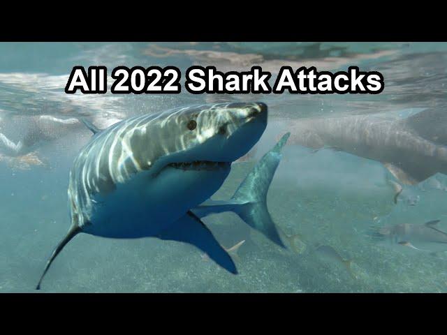 All 2022 Shark Attacks