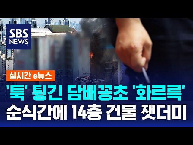'툭' 튕긴 담배꽁초 '화르륵'…순식간에 14층 건물 잿더미 / SBS / 실시간 e뉴스
