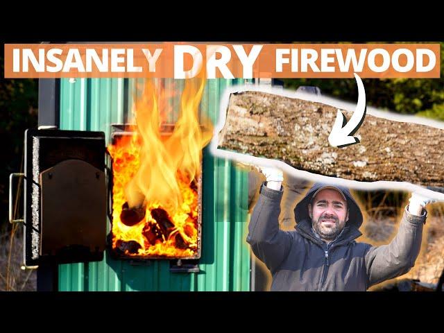 You CANT Dry/Season Firewood FASTER than THIS METHOD!