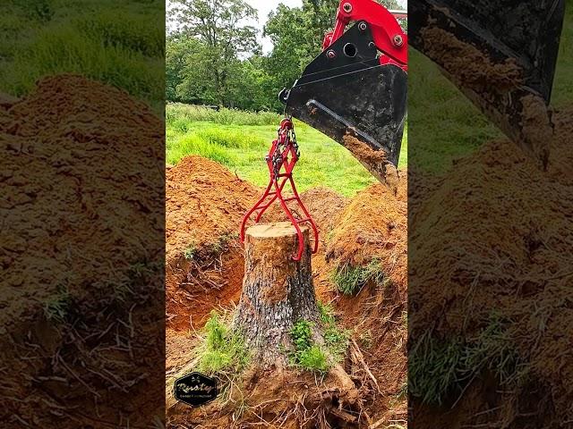 2515H Removing Oversized Stump