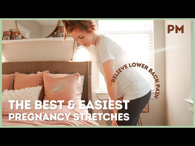 Pregnancy Stretching Exercises | Stretches to Relieve LOWER BACK PAIN during PREGNANCY!