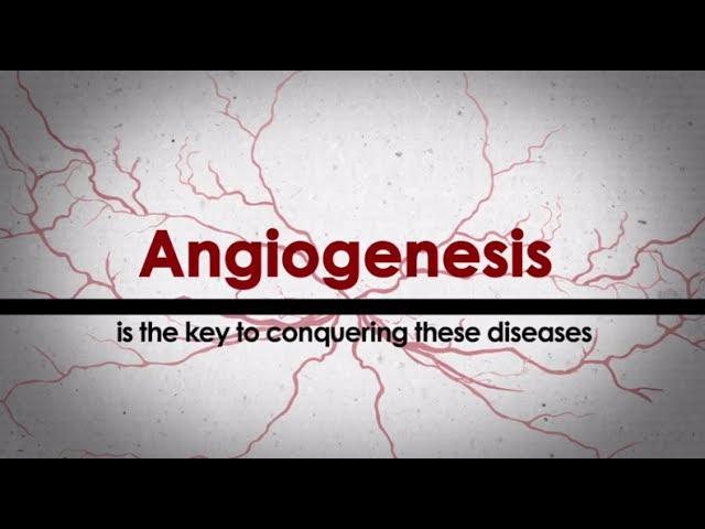 The Angiogenesis Foundation at 20 Years