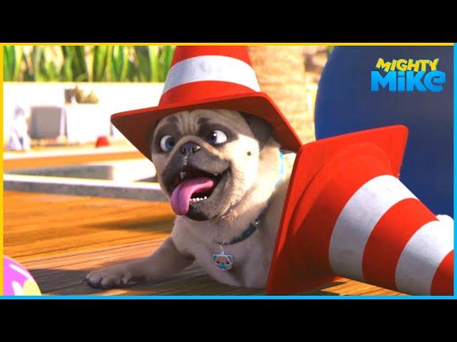 Best in Show | Mighty Mike | 55' Compilation | Cartoon for Kids