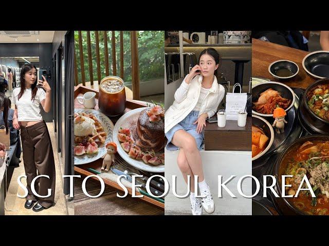 SG TO SEOUL KOREA: a day in myeongdong, shopping at hongdae & hannamdong area, cafes in seoul [VLOG]