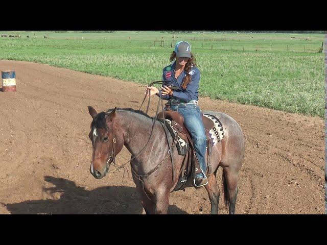 Ashley Schafer Starting Colt on the Pattern