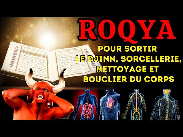 ROQYA POUR SORTIR LE DJINN, SORCELLERIE, NETTOYAGE ET BOUCLIER DU CORPS,PROTECTION MAISON ET FAMILLE