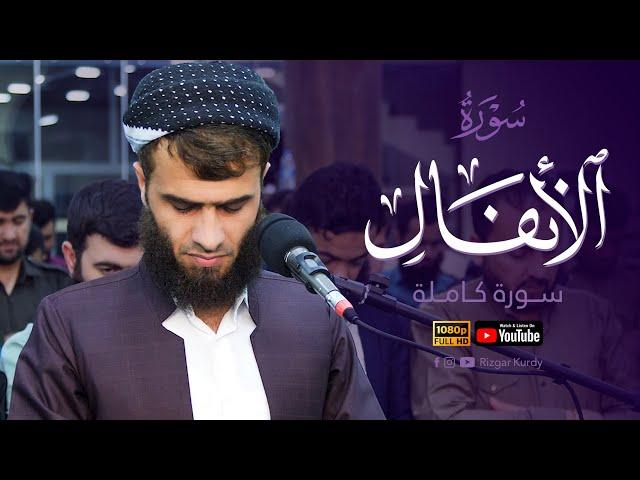 سورة الأنفال كاملة رزكار محمد الكردي Sourate Al-Anfal - Rizgar Muhammad Al Kurdi