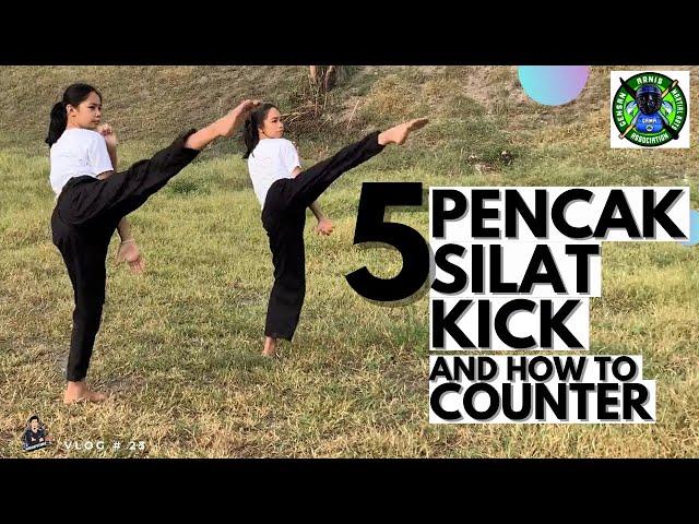 5 basic Pencak Silat  | Kicks and how to counter!