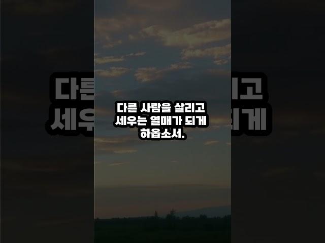 하나님이 벽을 허락하신 이유 쇼츠 4#하나님의계획#믿음의관문#요셉의삶#무성한가지#고난극복#하나님의약속#기독교설교#믿음#소망#정직한교회#김희중목사