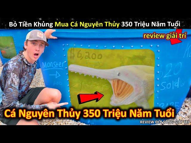 Lần Đầu Bỏ Tiền Khủng Để Mua Loại Cá Thời Tiền Sử 350 Triệu Năm Tuổi || Review Giải Trí Đời Sống